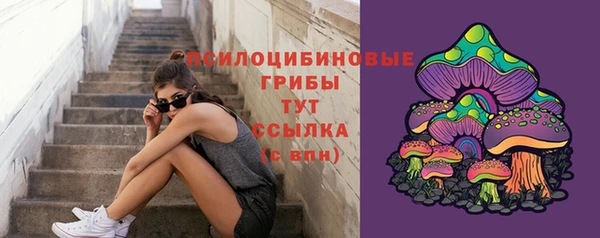 хмурый Арсеньев