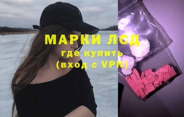 хмурый Арсеньев