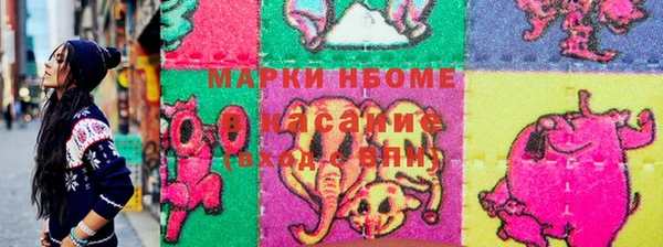 хмурый Арсеньев