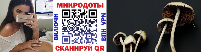 Псилоцибиновые грибы прущие грибы  наркошоп  Сертолово 